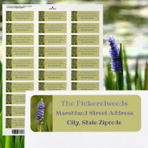 Lilac Lila Pickerelweed Flower Botanical Blommigt