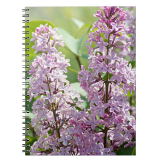 Lilac P5390 bärbar dator Anteckningsbok
