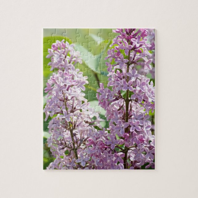 Lilac P5390 Puzzle Pussel (Vertikal)
