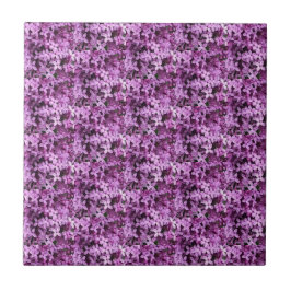 Lilac Photo | Halvdroppad med konvekt | Kakelplatta