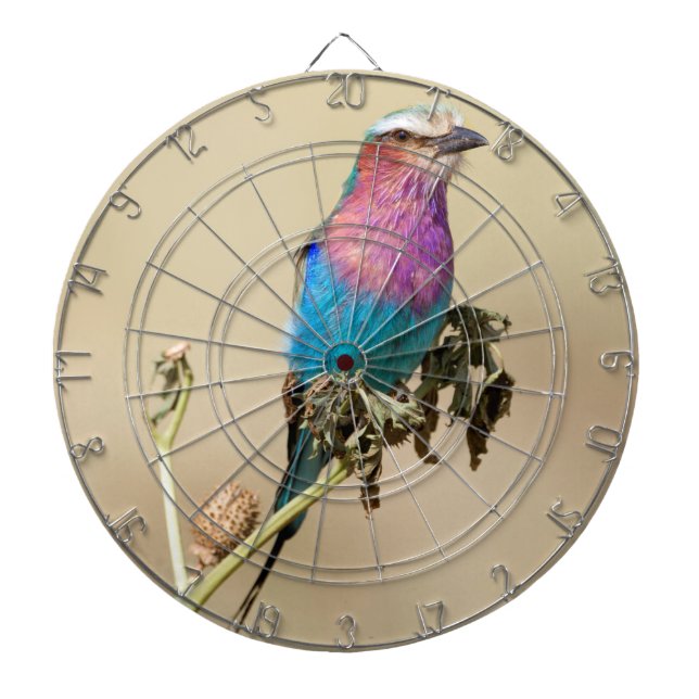 Lilac-roller Darttavla (Framsidan)
