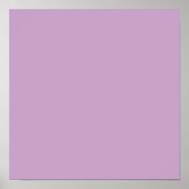 Lilac Solid Färg Poster