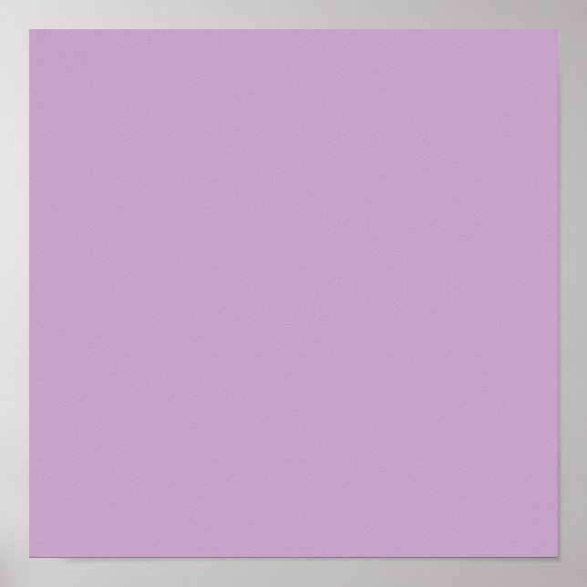 Lilac Solid Färg Poster (Framsidan)