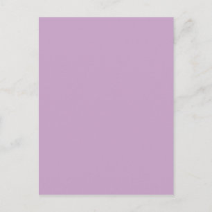 Lilac Solid Färg Vykort