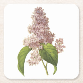 lilac(Syringa sp.) från Redouté Underlägg Papper Kvadrat