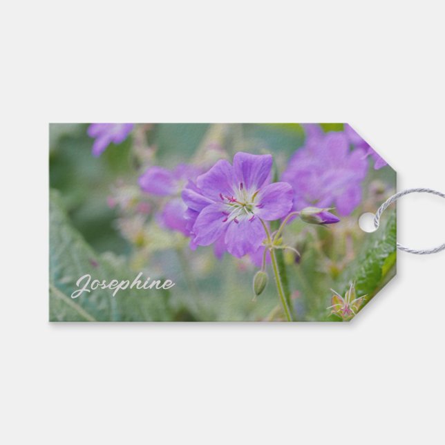 Lilac WildblomPhoto Geranium Botanical Flower Presentetikett (Framsidan (Horisontell))