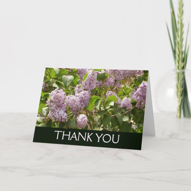 Lilacbuske Vackra Lila Vårblommor Tack Kort (Framsida)