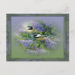 Lilacs & Birds vykort