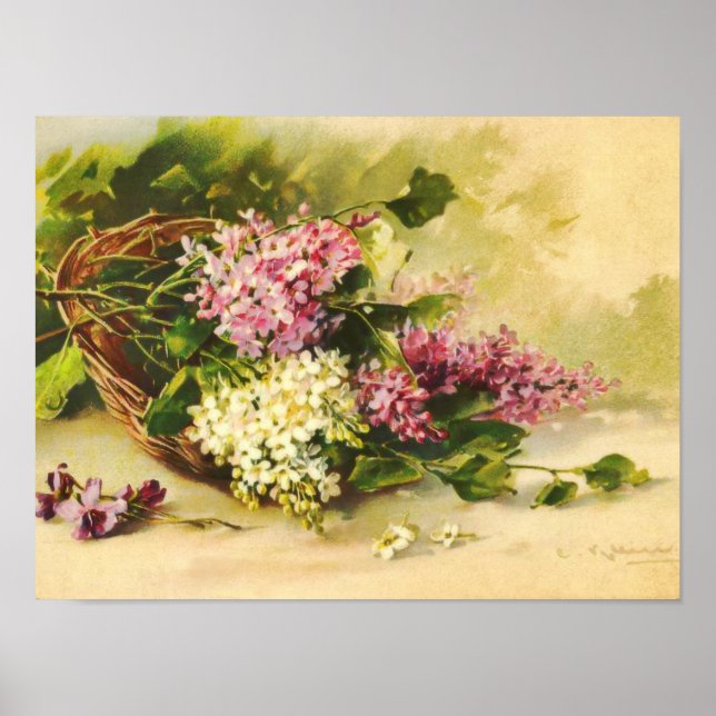 Lilacs i Basket av Catherine Klein Print Poster (Framsidan)
