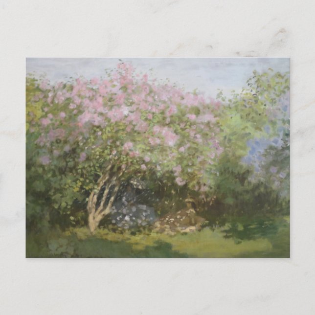 Lilacs i Sol av Claude Monet Postcard Vykort (Framsida)