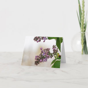 Lilacs i Vår Kort