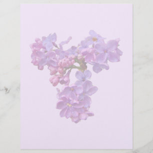 Lilacs in Springtime