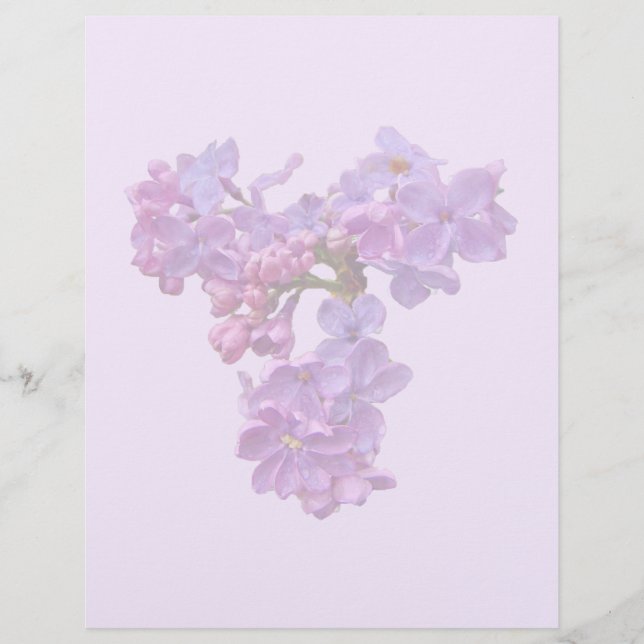 Lilacs in Springtime (Framsida)