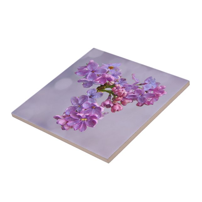 Lilacs in Springtime Kakelplatta (Sidan)