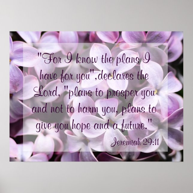Lilacs Jeremiah 29:11 Poster (Framsidan)