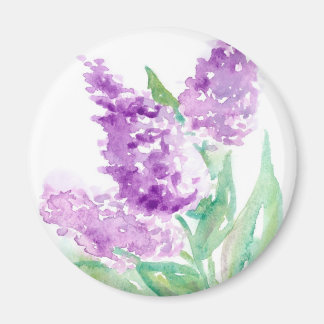 Lilacs magnet