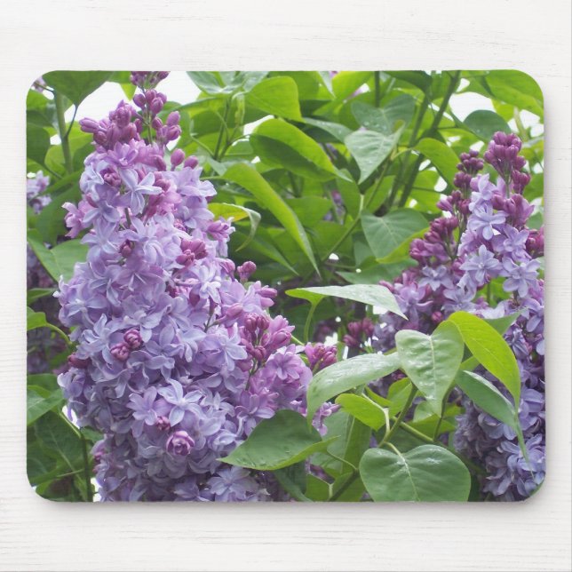 Lilacs Mousepad Musmatta (Framsidan)