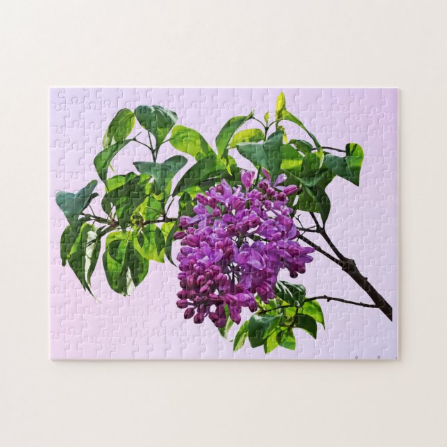 Lilacs öppnar just pussel (Horisontell)