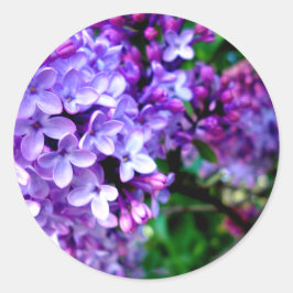 Lilacs Runt Klistermärke