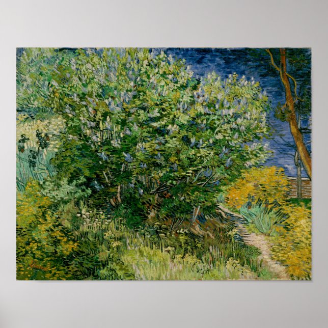 Lilacs, Vincent van Gogh Poster (Framsidan)