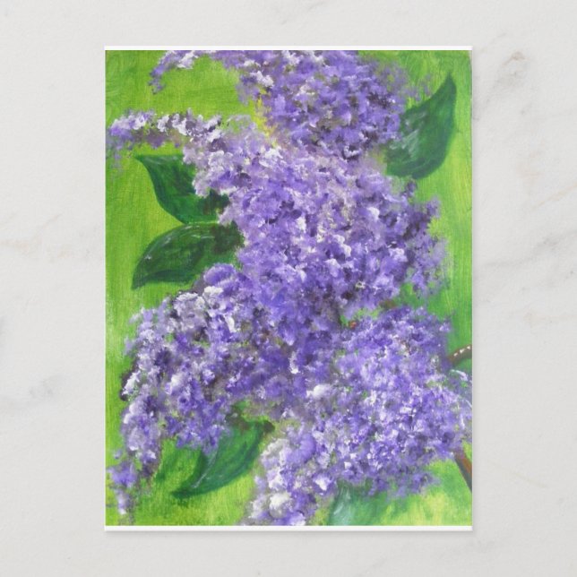 Lilacs Vykort (Framsida)