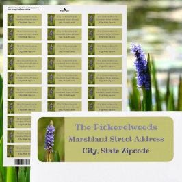 Lilafärgad Sjönöt Blomma Botanisk Blommig Returadress Etikett