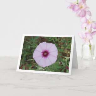 Lilafärgade praktglockor, vildblomma kort