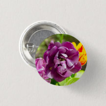 Lilaktuliper på en solig dag