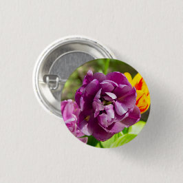 Lilaktuliper på en solig dag knapp