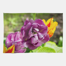 Lilaktuliper på en solig dag