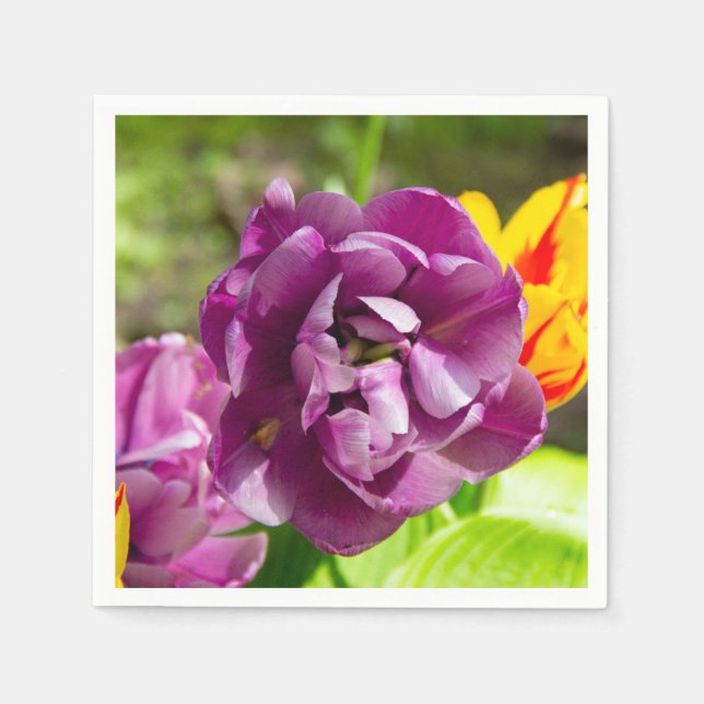 Lilaktuliper på en solig dag pappersservett (Framsidan)