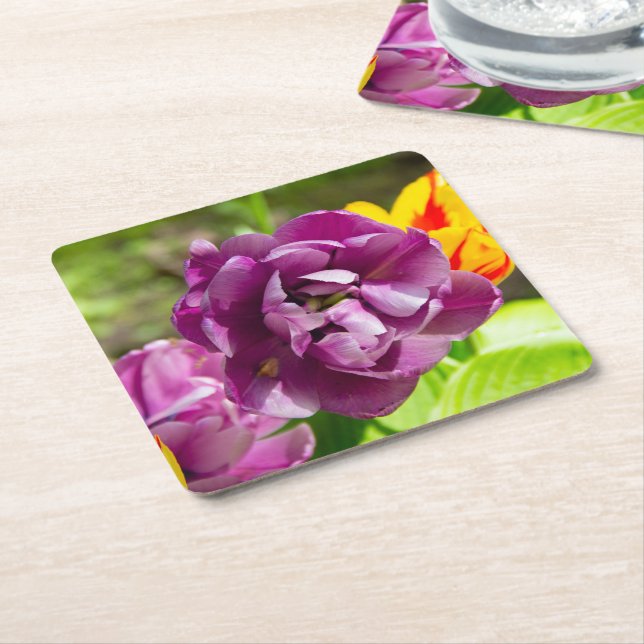 Lilaktuliper på en solig dag underlägg papper kvadrat (Vinklad)