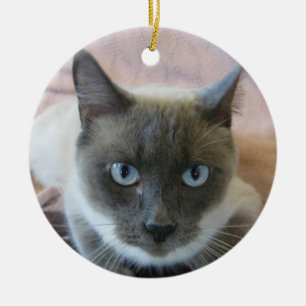 Lilan pekar Siamese Julgransprydnad Keramik