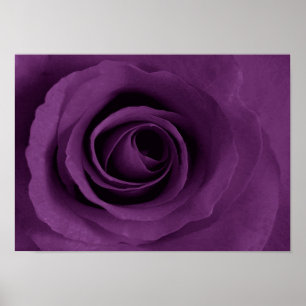 lilaro av den Etsy affischen Poster
