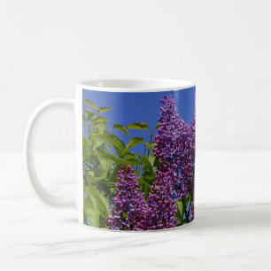 lilax, verklig lilaxbild, blå himmel, lila blommo kaffemugg