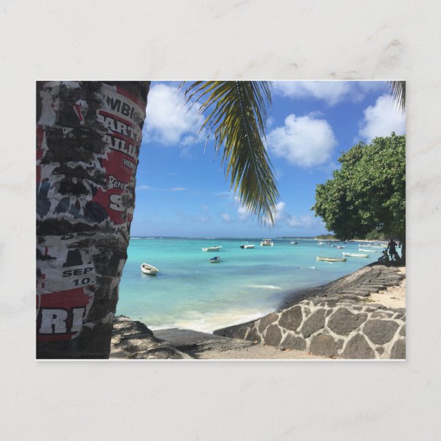 L'île Maurice - Trou aux Bîches Vykort (Framsida)