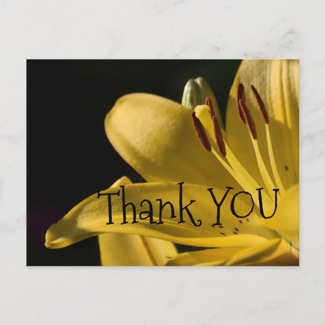 *'LiLi-Yellow' Design, Vykort (Framsida)