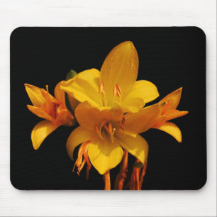 Lilien Musmatta