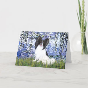 Lilier 6 - Papillon 1 Kort