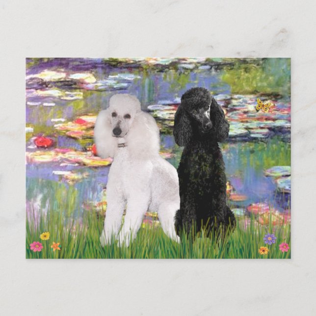 Lilies2-Standard Poodles (svart & vit) Vykort (Framsida)