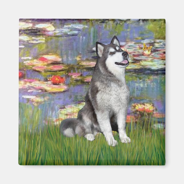 Lilies 2 - Alaska Malamute Magnet (Framsidan)