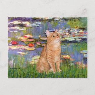 Lilies 2 - Orange Tabby katt 46 Vykort