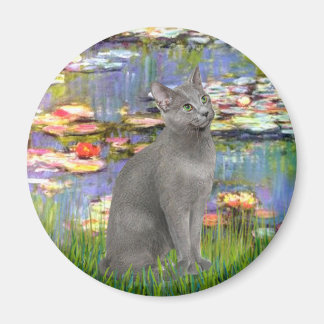 Lilies 2 - Rysk blå katt Magnet