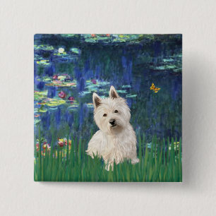 Lilies 5 - Westie 1 Knapp