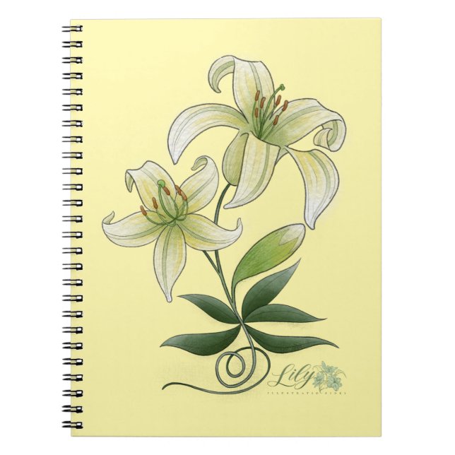 Lilies Anteckningsbok (Framsidan)