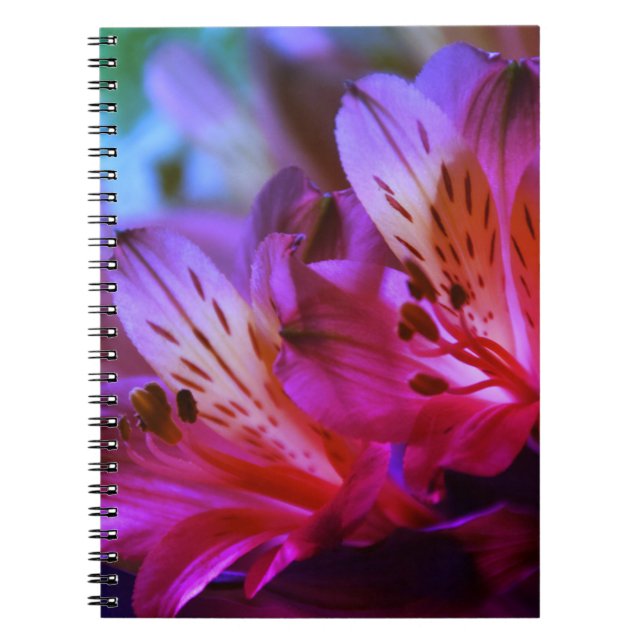 Lilies Blommigt Journal eller bärbar dator Anteckningsbok (Framsidan)