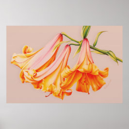 "Lilies"-bra konst botaniskt poster utskrift