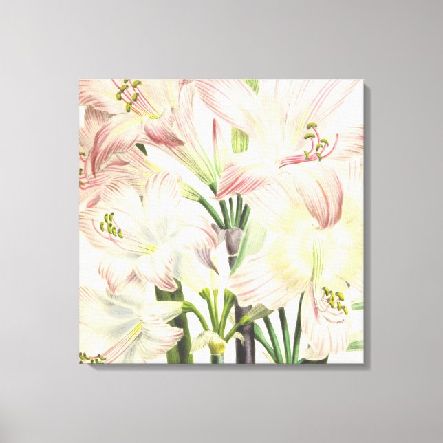  Lilies Canvastryck (Framsida)