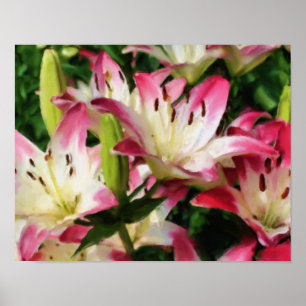 Lilies Flower Art Photo Painting Poster