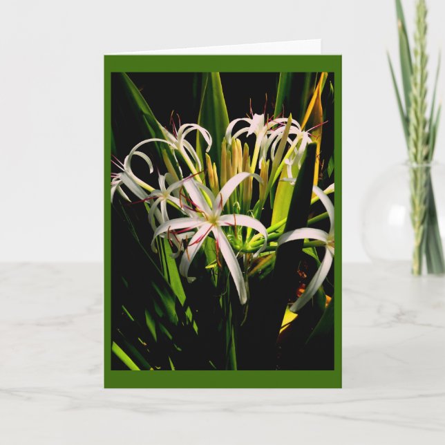Lilies Greeting Card Kort (Framsida)